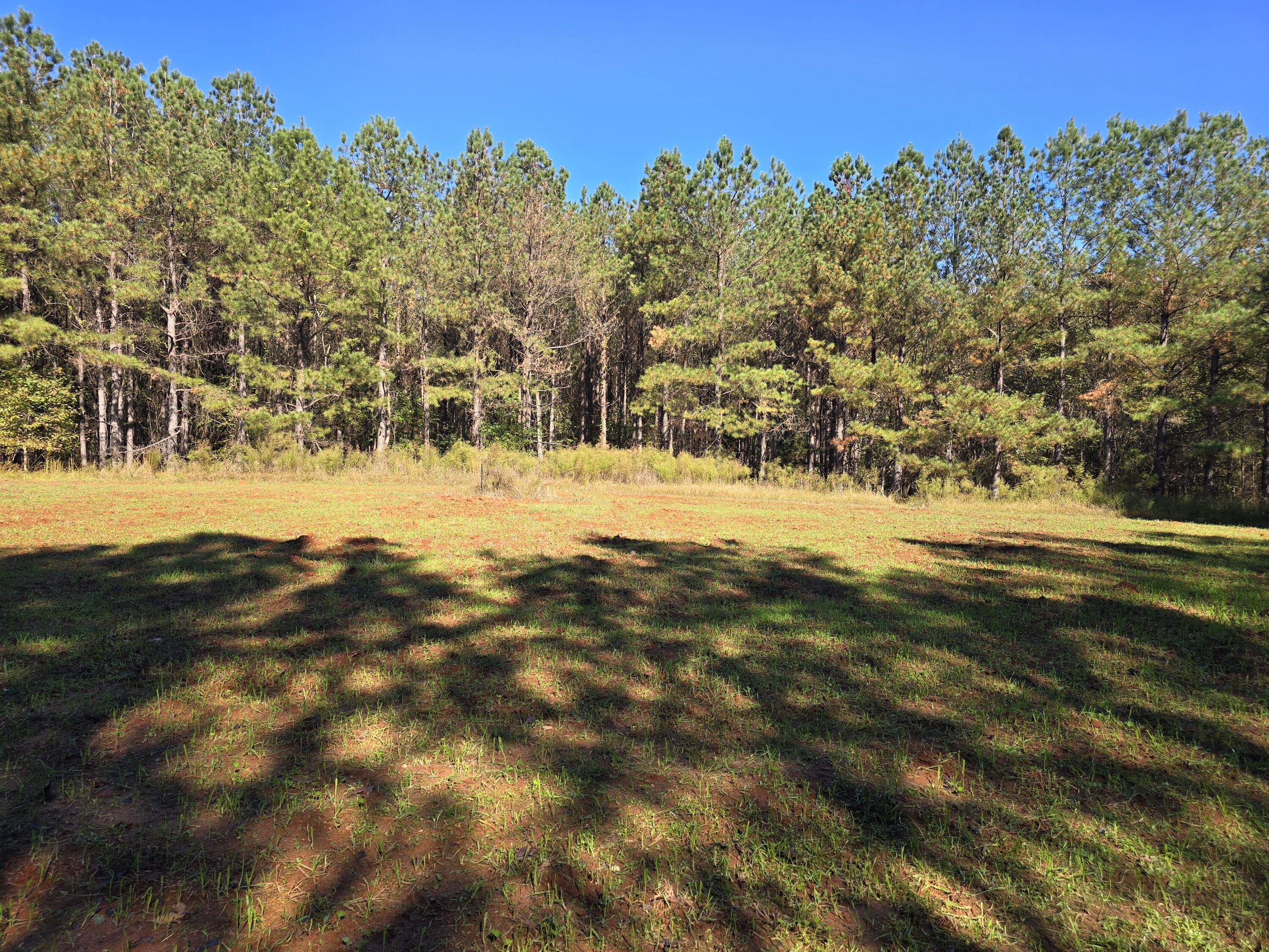 7501 Rainey Morris Road Appling, GA 30802 - Photo 38 of 47 20251031_134023