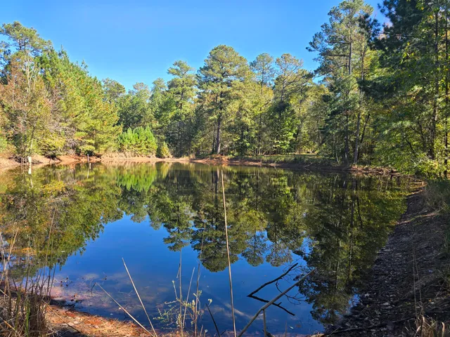 $800,000 | 7501 Rainey Morris Road, Appling, GA 30802