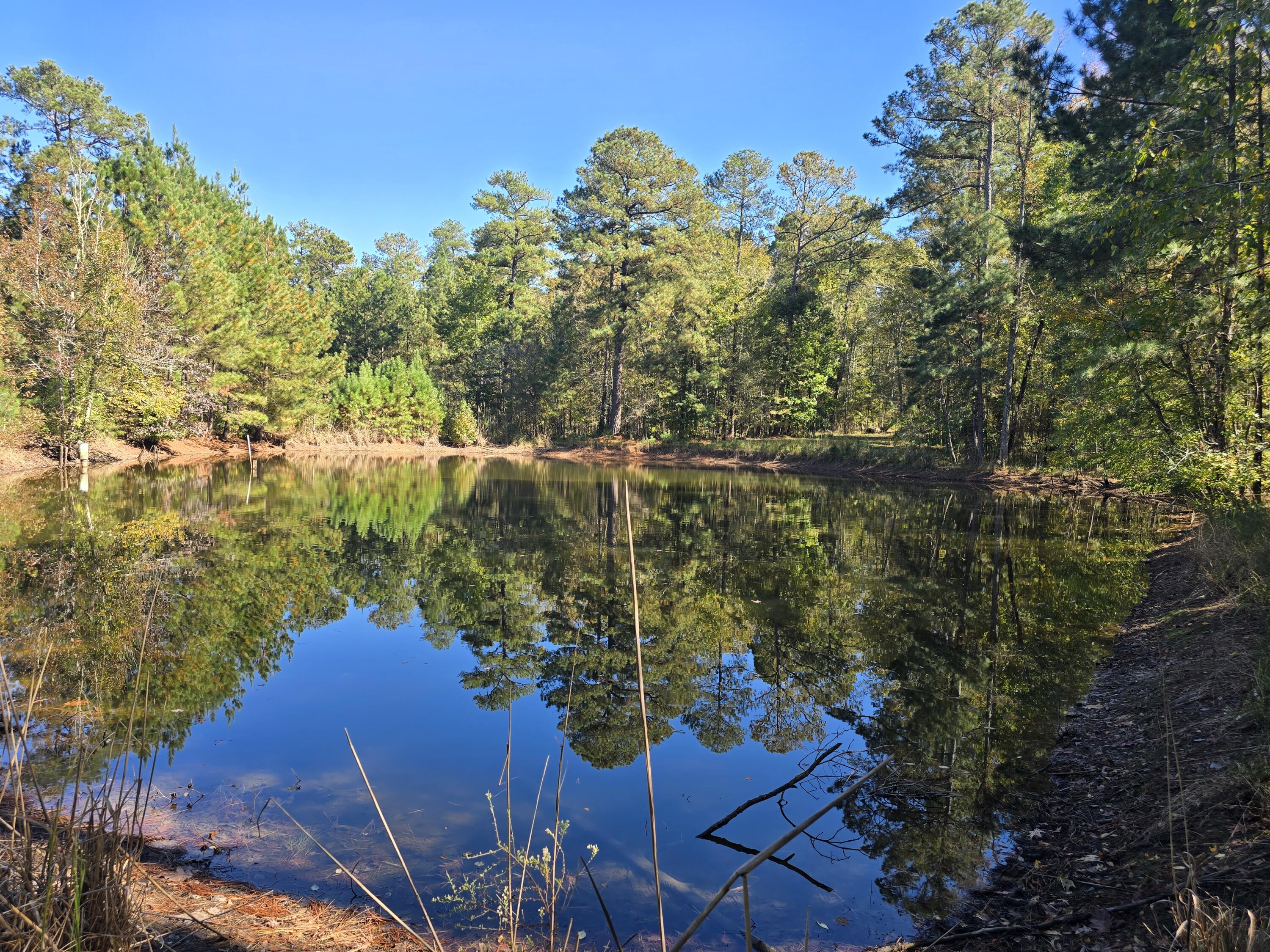 7501 Rainey Morris Road Appling, GA 30802 - Photo 39 of 47 20251031_134647