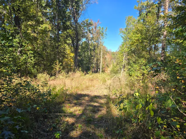 $800,000 | 7501 Rainey Morris Road, Appling, GA 30802