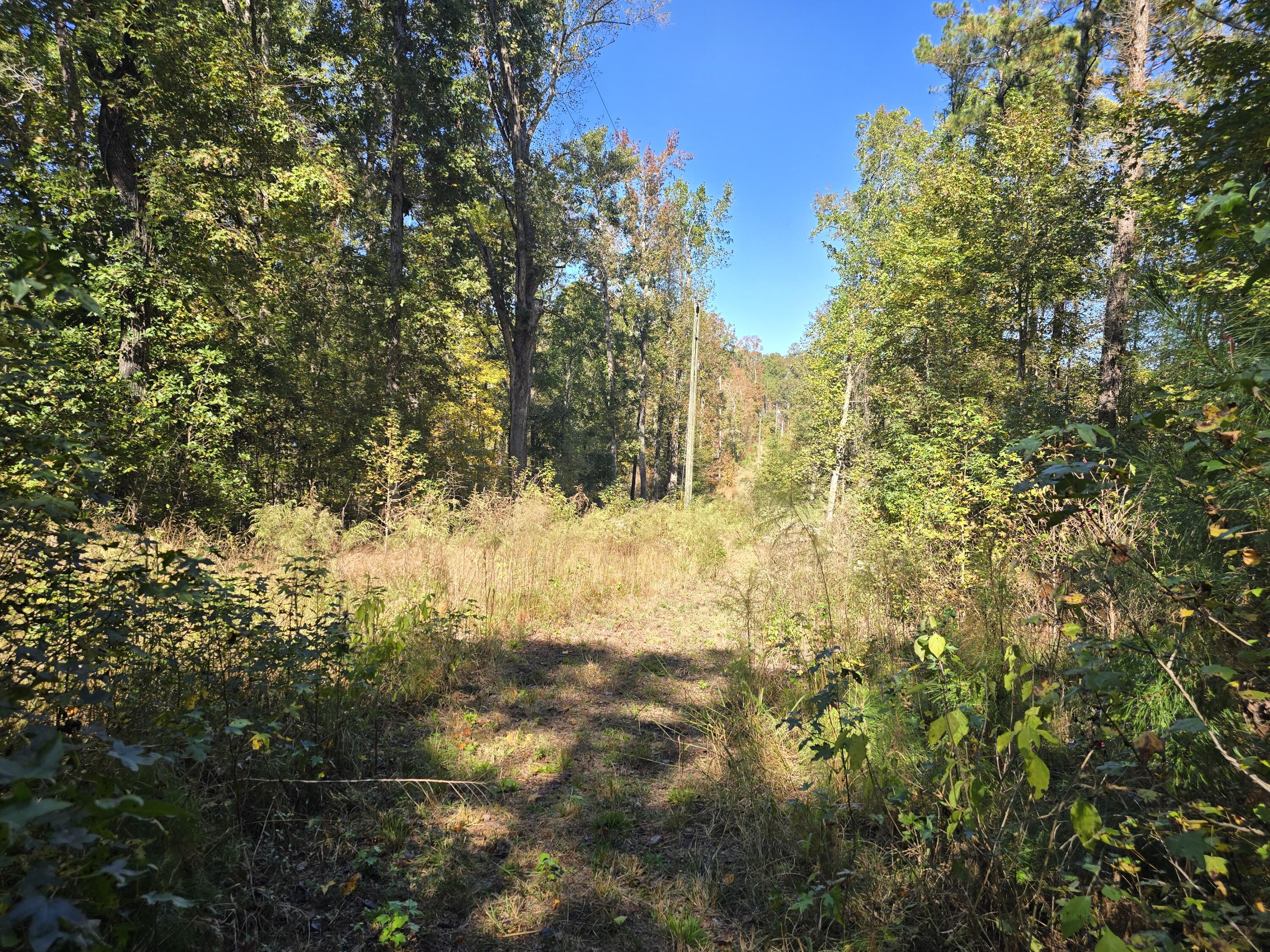 7501 Rainey Morris Road Appling, GA 30802 - Photo 41 of 47 20251031_134828