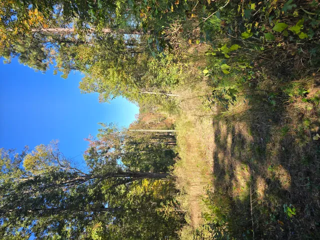 $800,000 | 7501 Rainey Morris Road, Appling, GA 30802