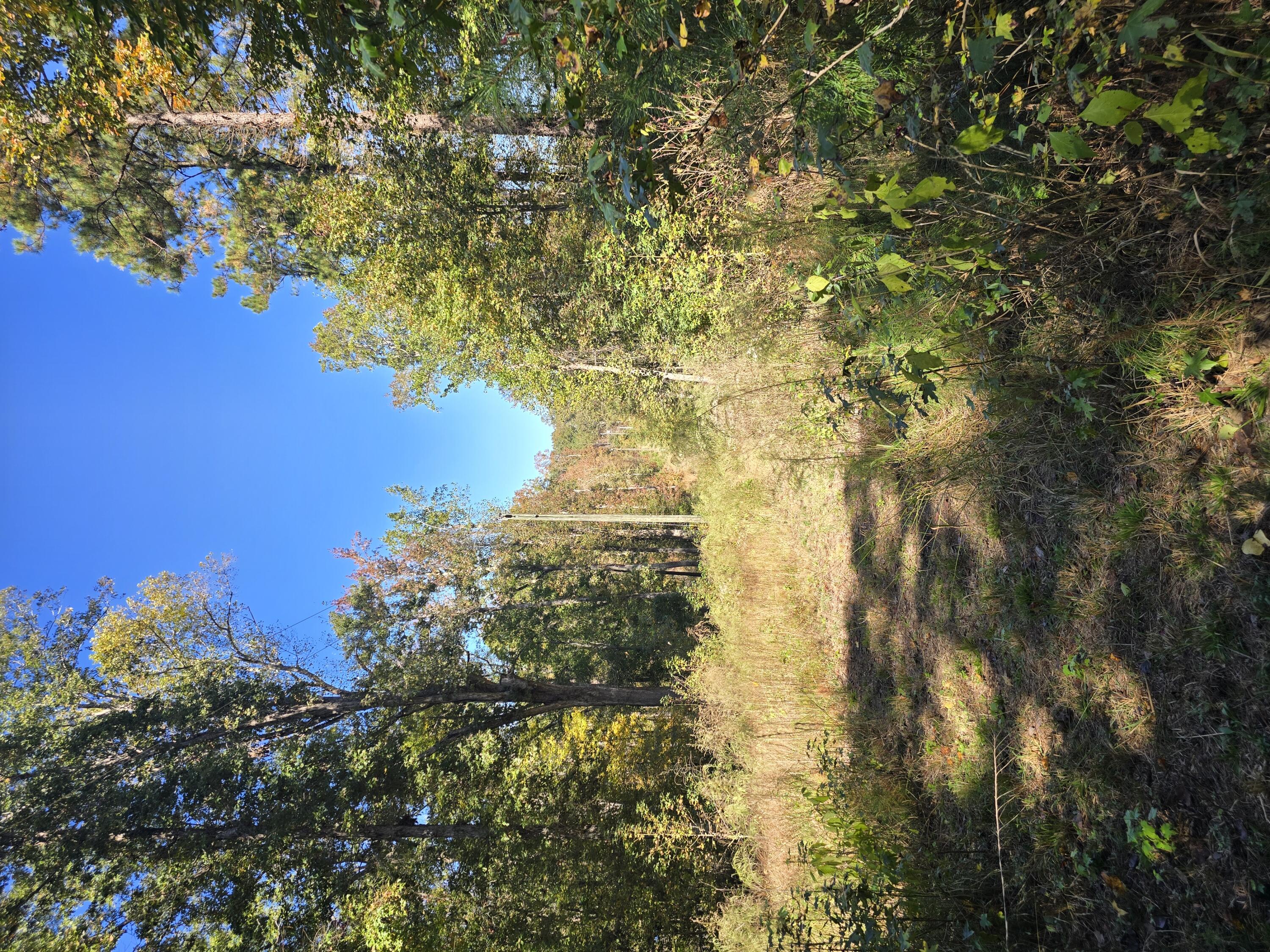 7501 Rainey Morris Road Appling, GA 30802 - Photo 42 of 47 20251031_134831