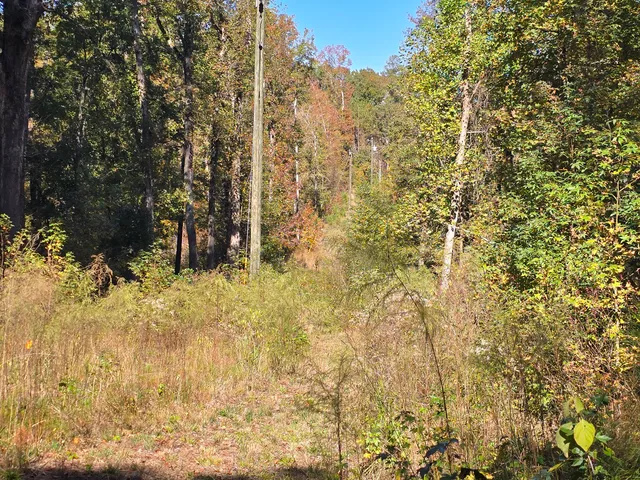 $800,000 | 7501 Rainey Morris Road, Appling, GA 30802