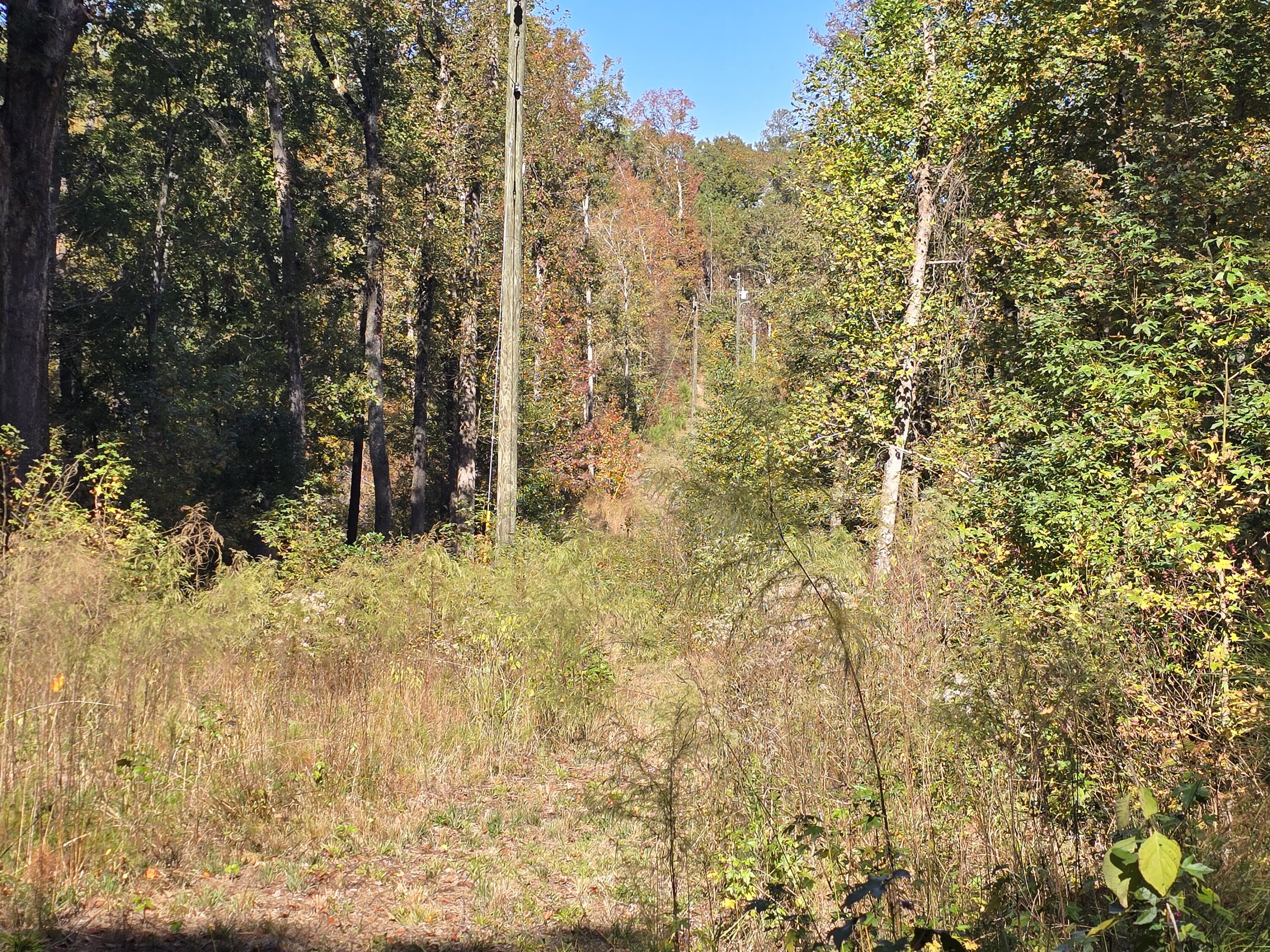 7501 Rainey Morris Road Appling, GA 30802 - Photo 43 of 47 20251031_134837