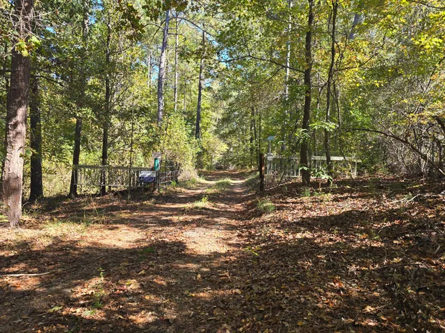 $800,000 | 7501 Rainey Morris Road, Appling, GA 30802