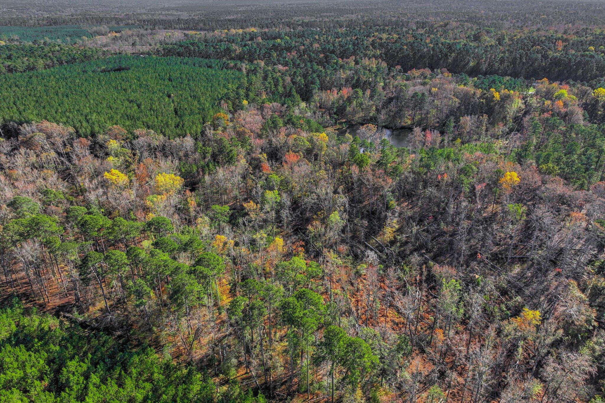 7501 Rainey Morris Road Appling, GA 30802 - Photo 8 of 47 08-107
