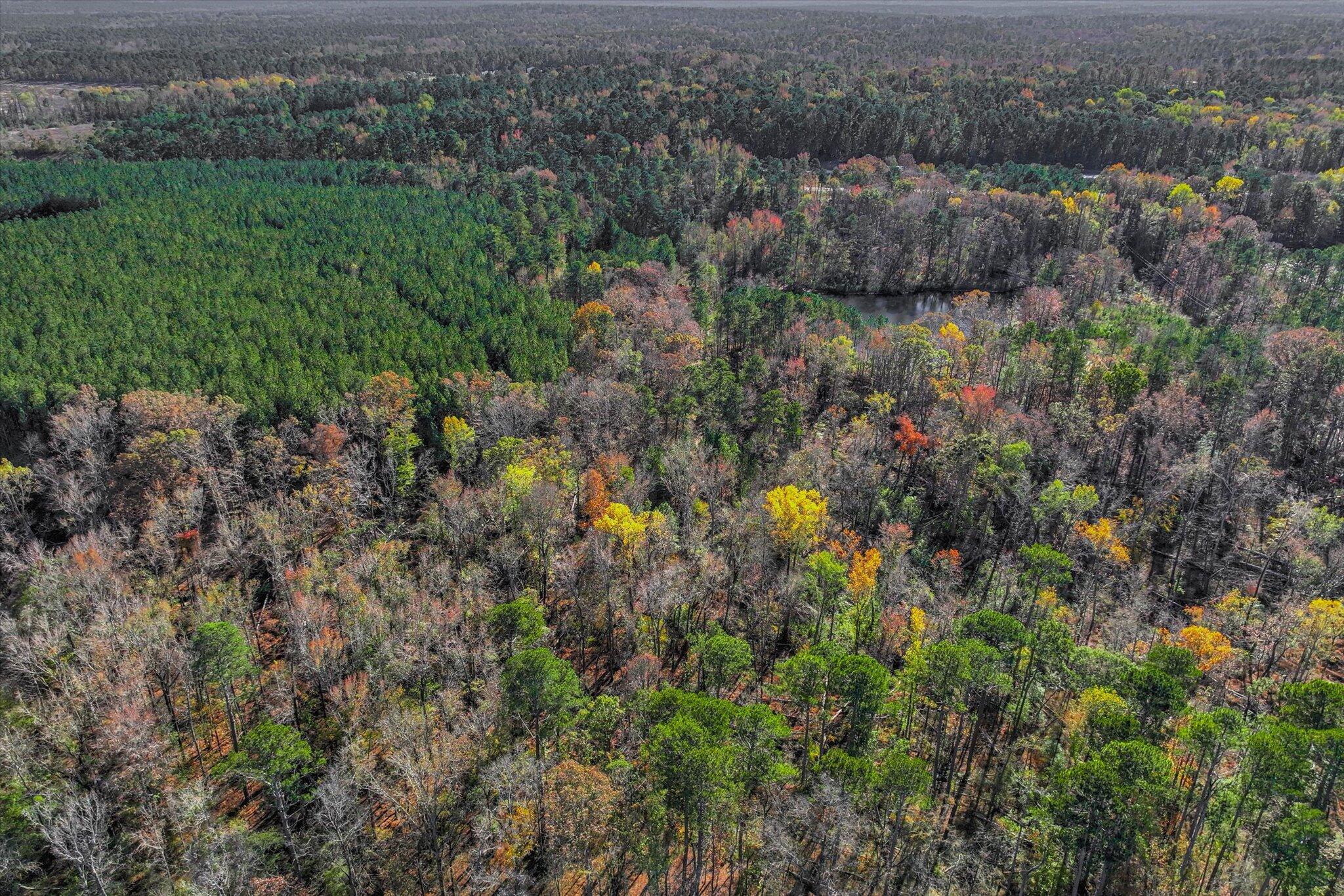 7501 Rainey Morris Road Appling, GA 30802 - Photo 9 of 47 09-108