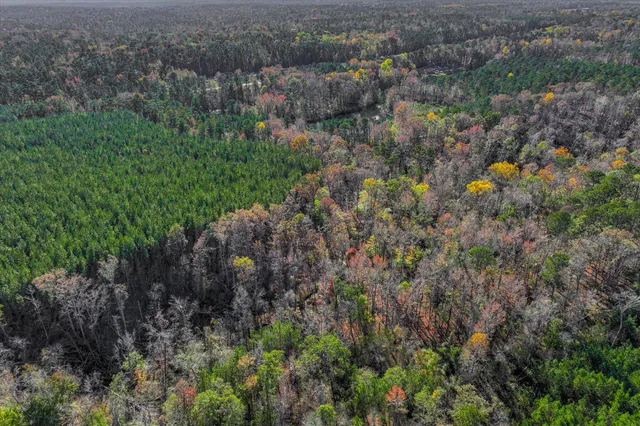 $800,000 | 7501 Rainey Morris Road, Appling, GA 30802