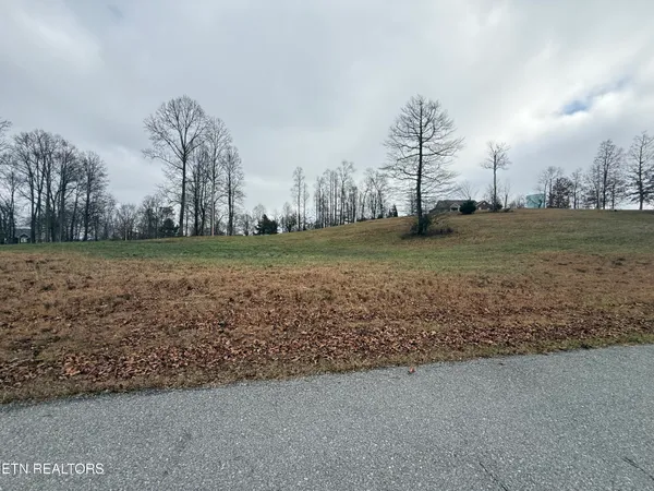 $26,700 | Lot #29 Oak Point Drive, Jonesville, VA 24263