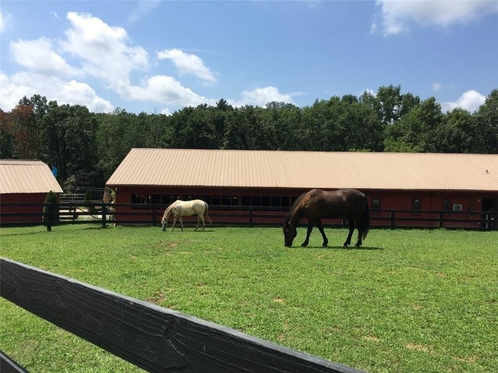 1205 Coachwhip Court Jasper, GA 30143 - Photo 15 of 16