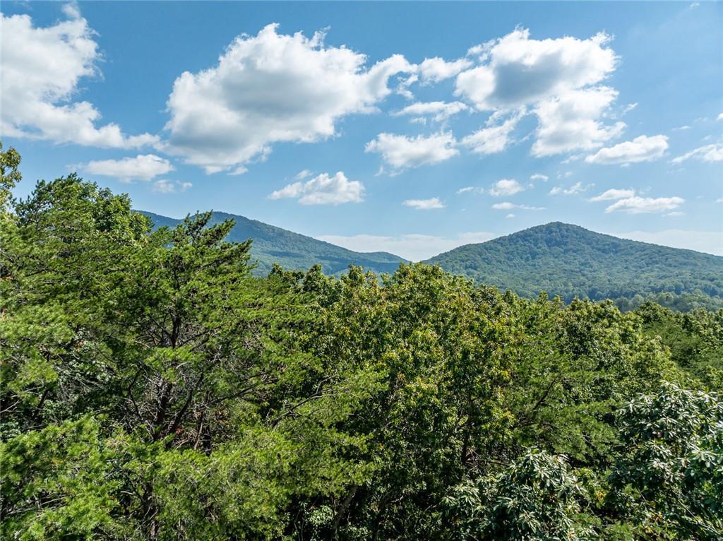 1205 Coachwhip Court Jasper, GA 30143 - Photo 3 of 16