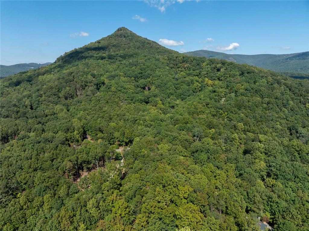 1205 Coachwhip Court Jasper, GA 30143 - Photo 5 of 16