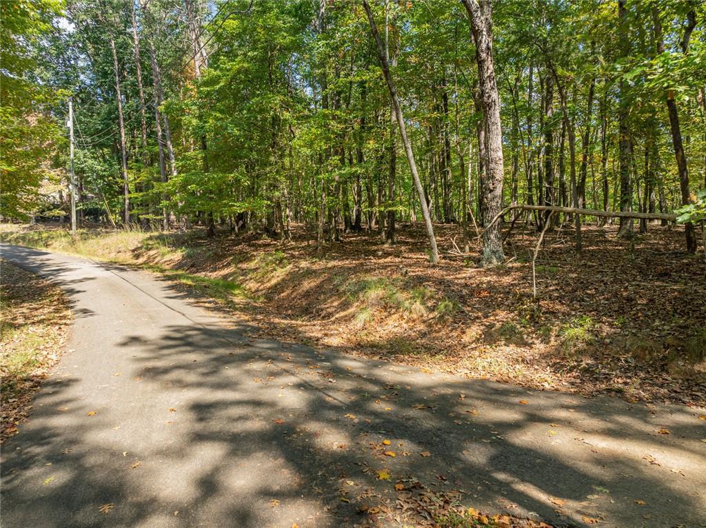 1205 Coachwhip Court Jasper, GA 30143 - Photo 6 of 16