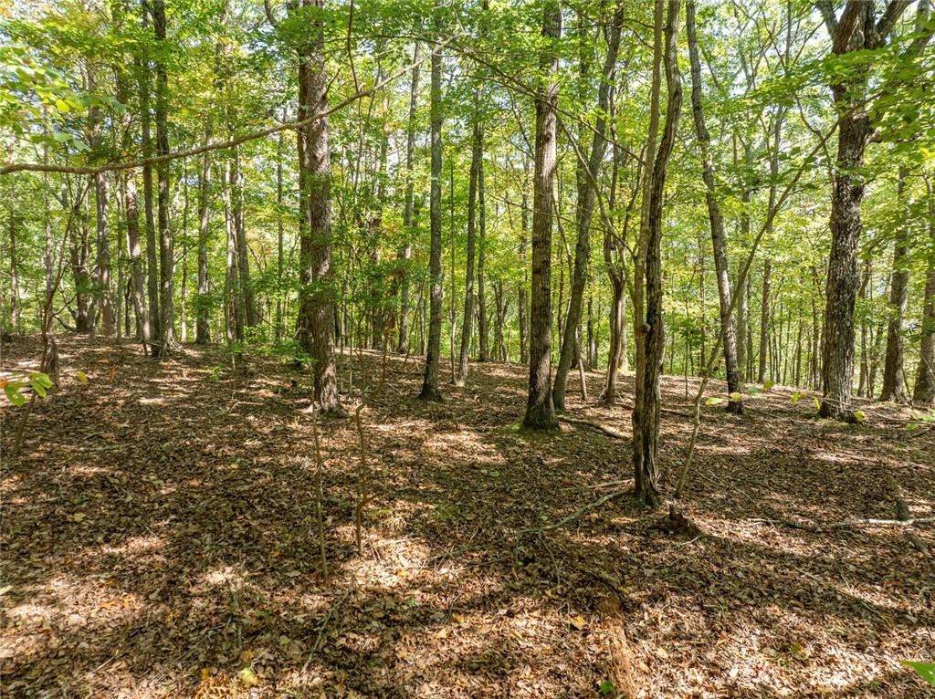 1205 Coachwhip Court Jasper, GA 30143 - Photo 7 of 16