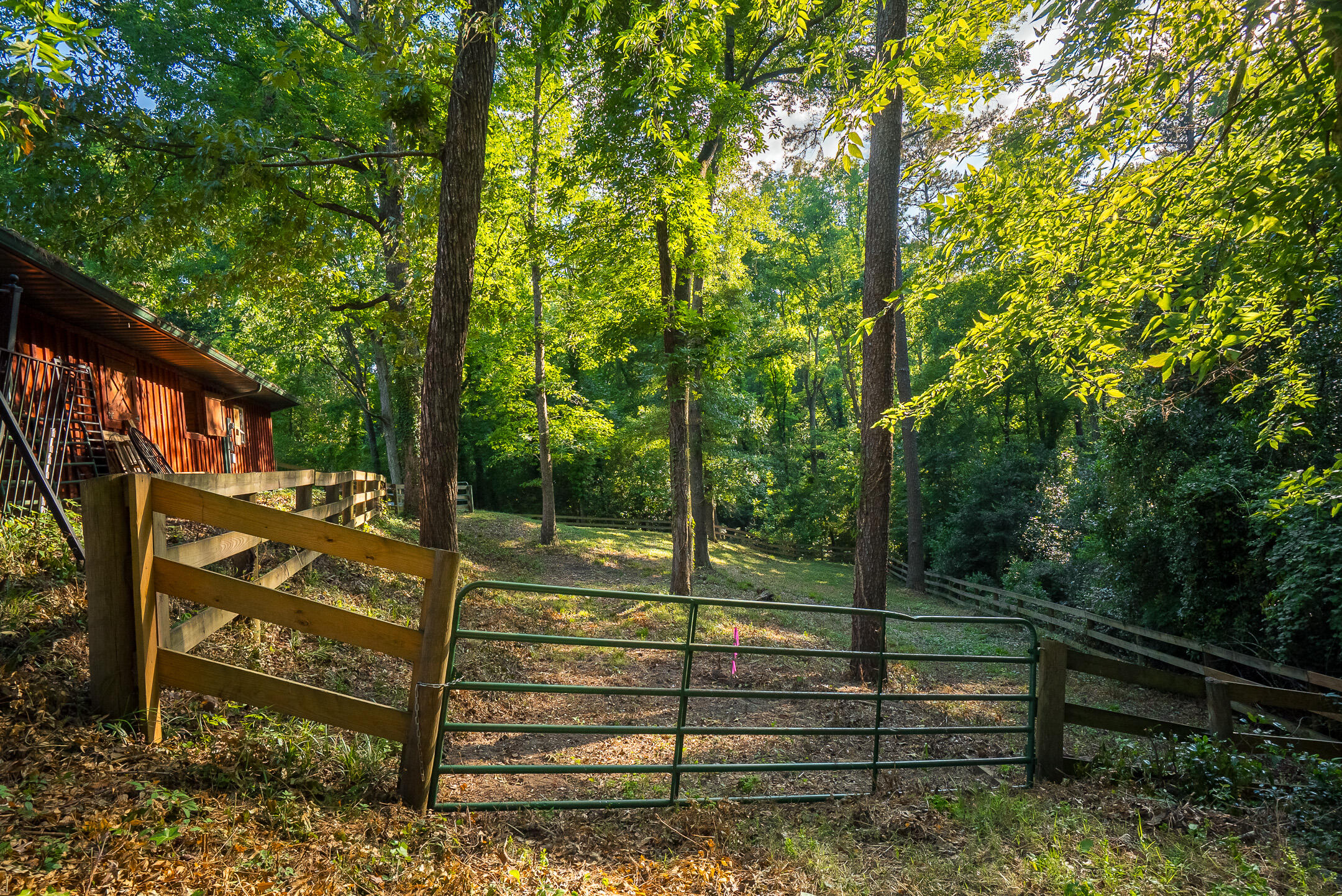 1039 Clark Road Southwest Aiken, SC 29803 - Photo 51 of 80