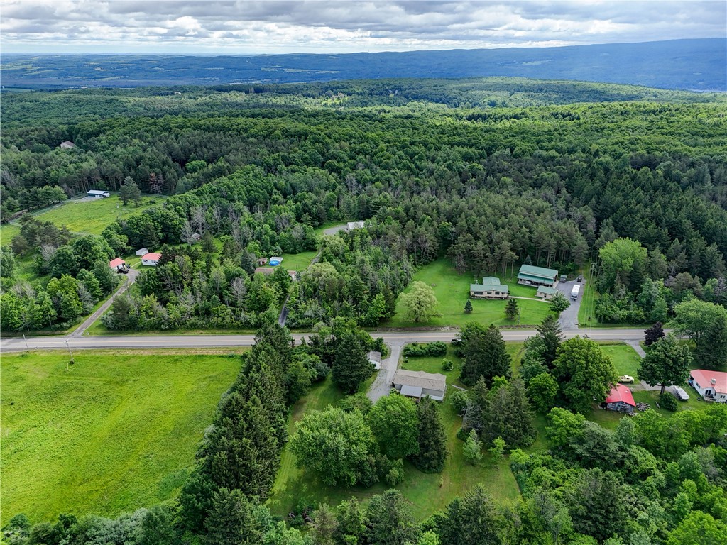 5420 Middle Road North Canadice, NY 14466 - Photo 8 of 47
