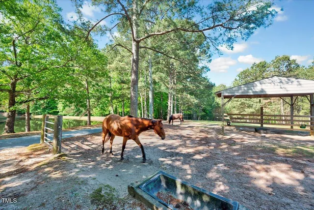 a view of a room with wooden ceiling