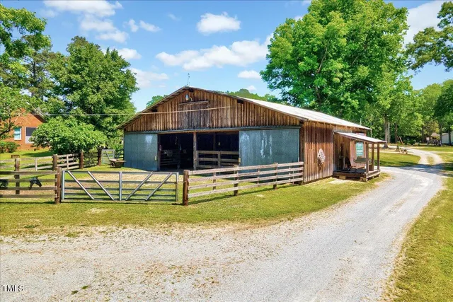a view of a garden with plants