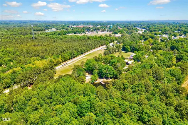 a view of a bunch of plants and trees