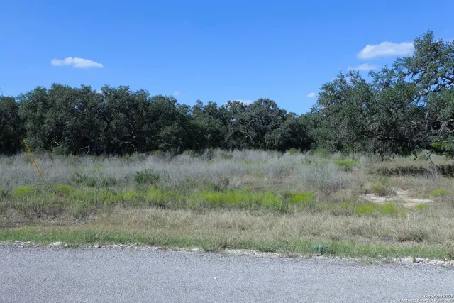 a view of a field with trees in background