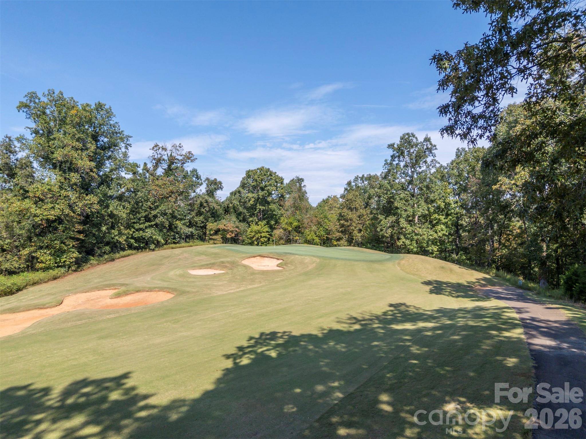 379 Moss Drive Rutherfordton, NC 28139 - Photo 42 of 48