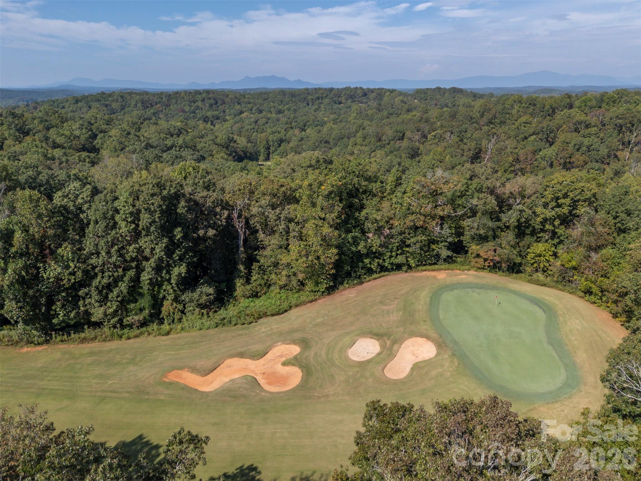 379 Moss Drive Rutherfordton, NC 28139 - Photo 43 of 48