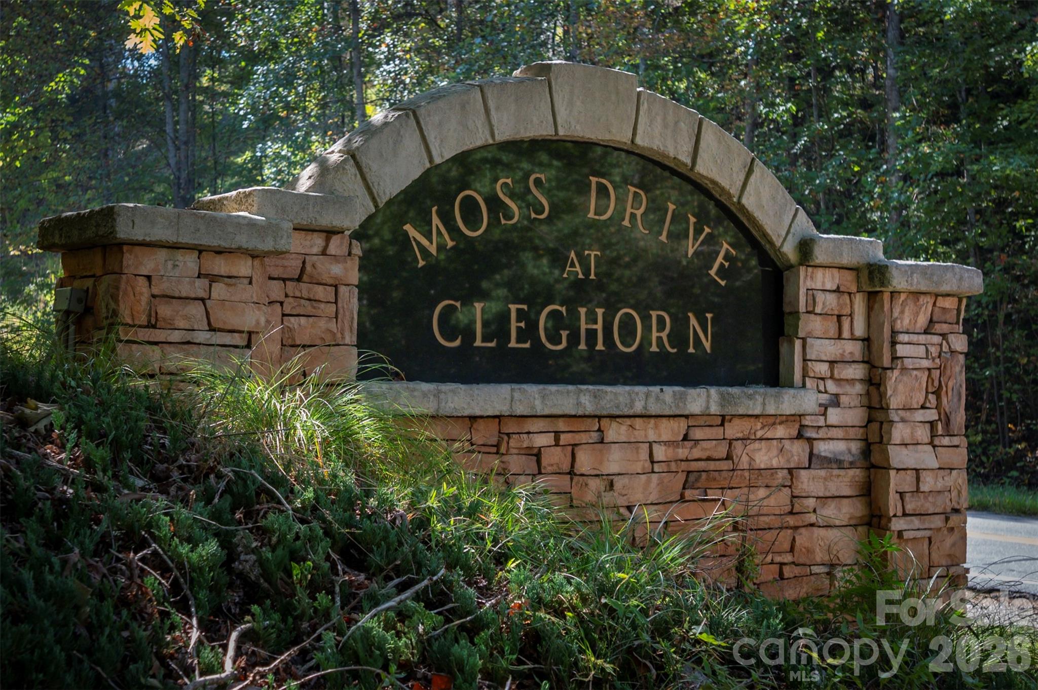 379 Moss Drive Rutherfordton, NC 28139 - Photo 48 of 48