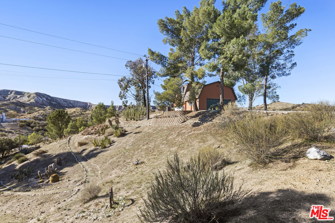 16617 Vasquez Canyon Road Canyon Country, CA 91351 - Photo 42 of 43 a view of a outdoor space with a tree