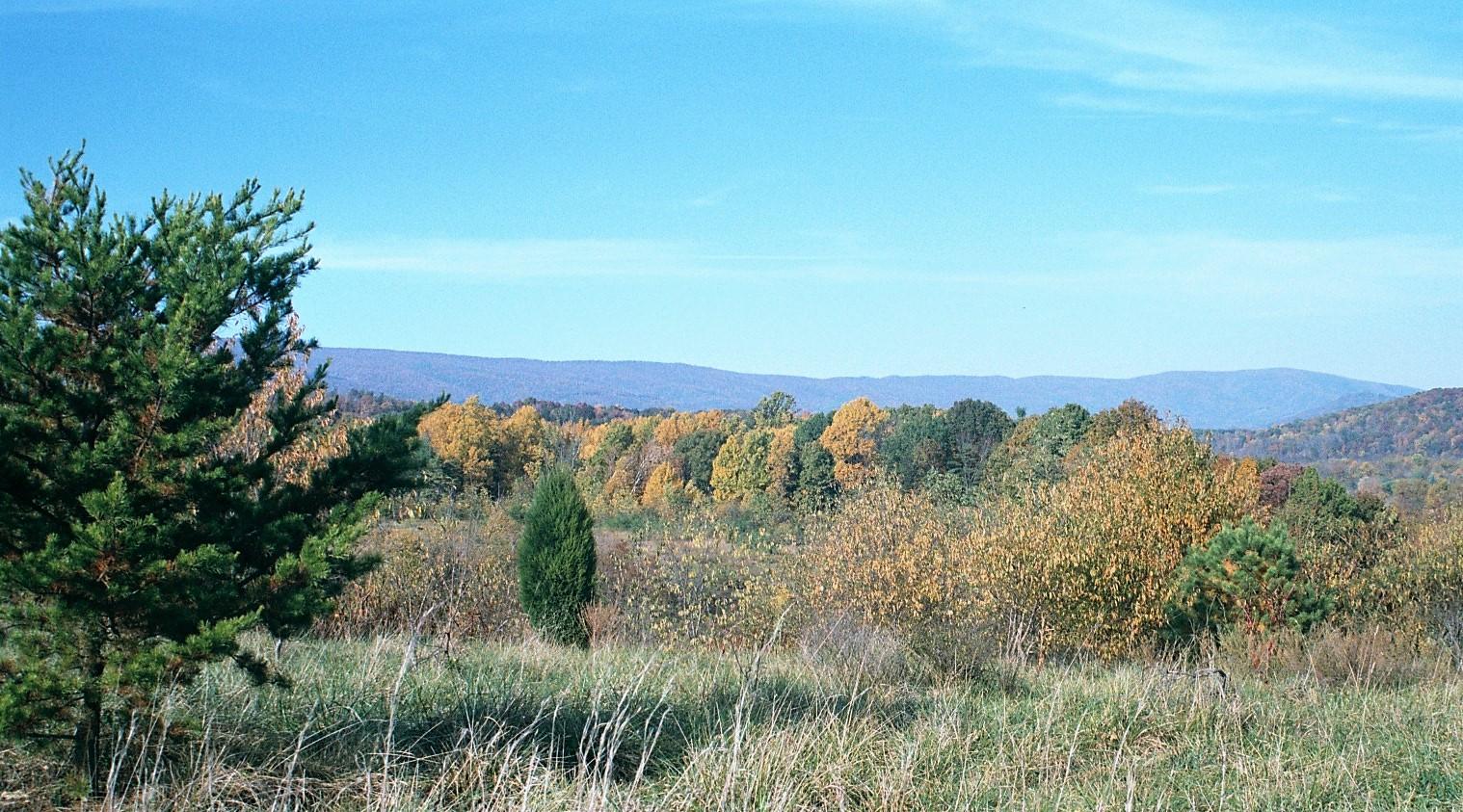 0 West River Road Salem, VA 24153 - Photo 4 of 9 Looking North-East (Glenvar & Salem)