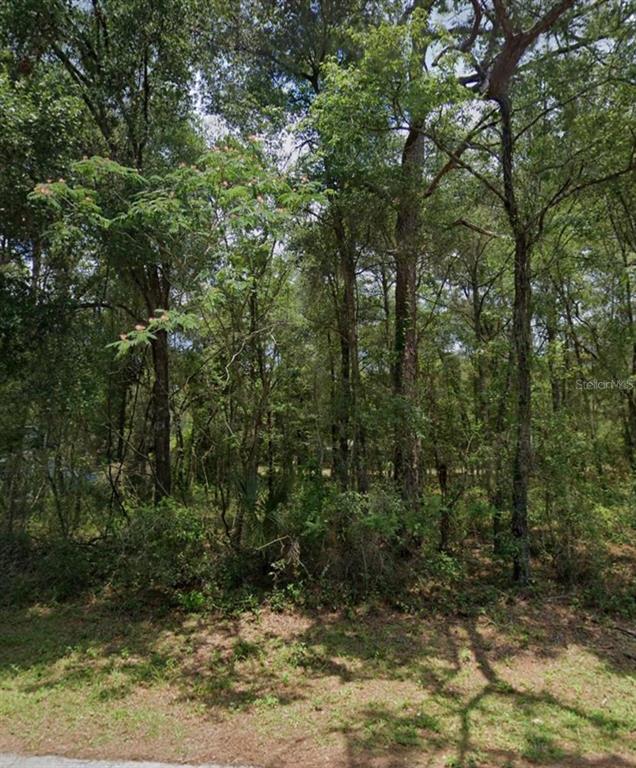 29 North Rooks Avenue Inverness, FL 34453 - Photo 1 of 1 Gallery Image 1