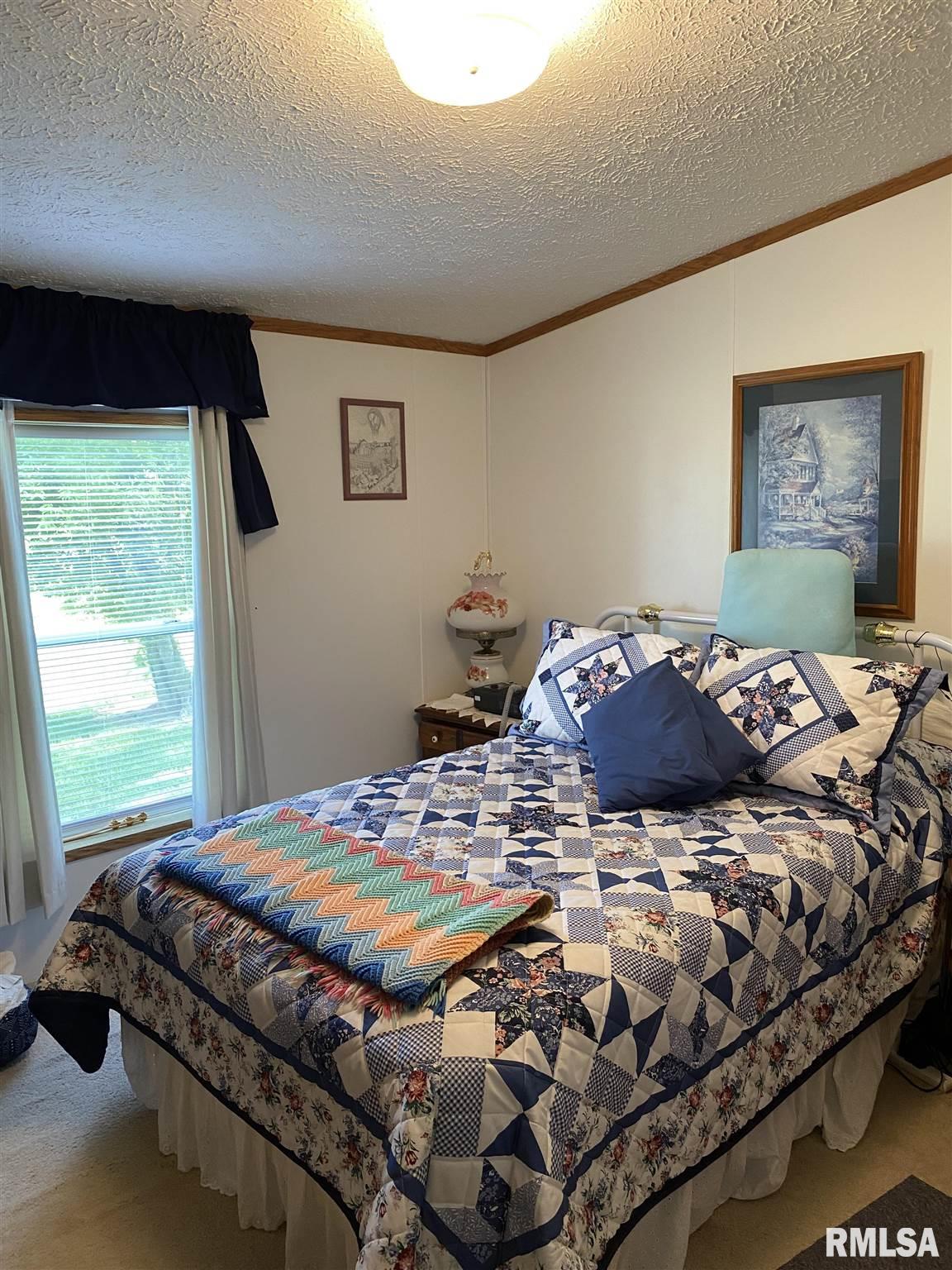 37 Tyler Lane Metropolis, IL 62960 - Photo 14 of 18