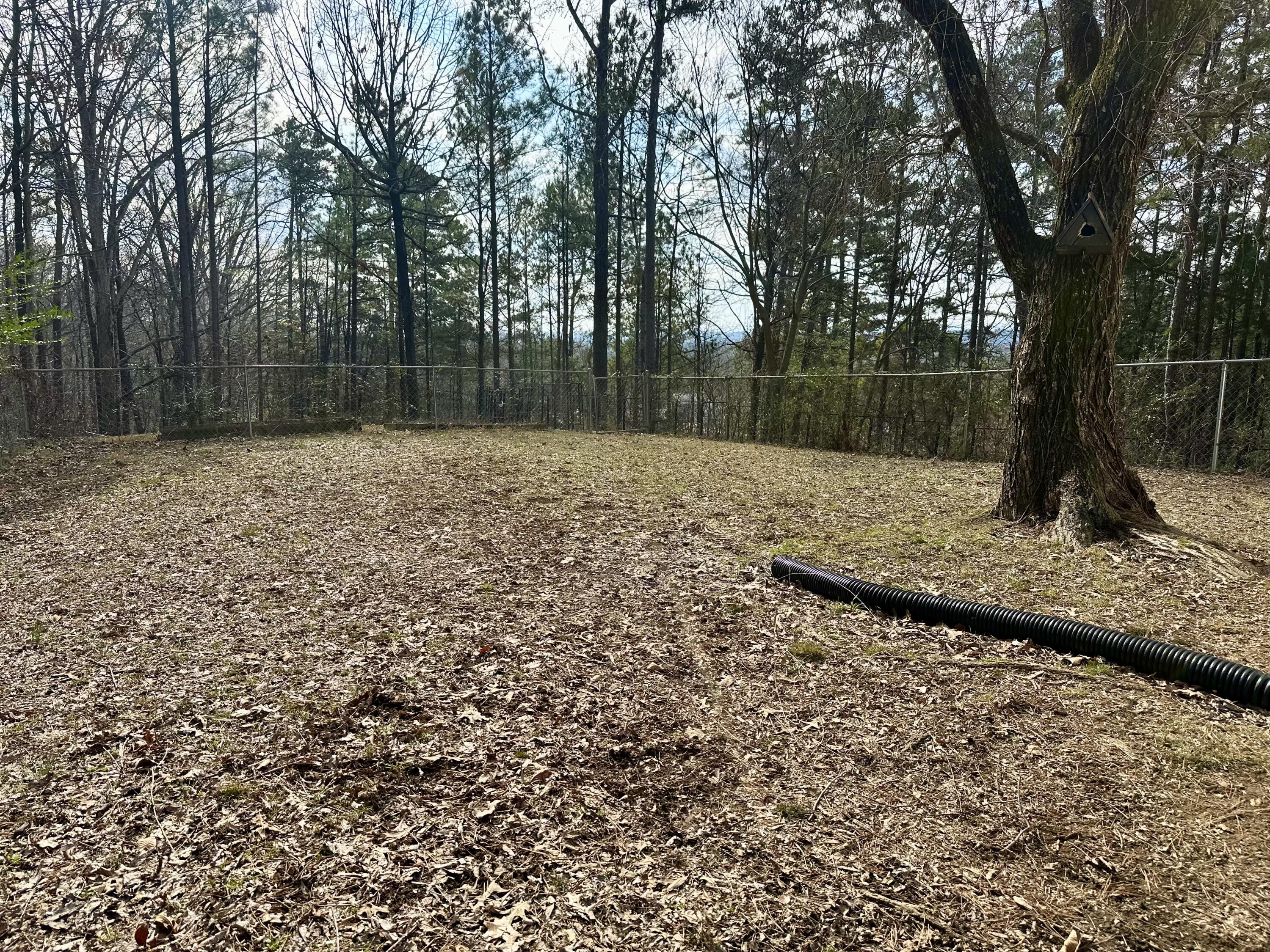 2258 Morris Hill Road Chattanooga, TN 37421 - Photo 4 of 25 IMG_1578