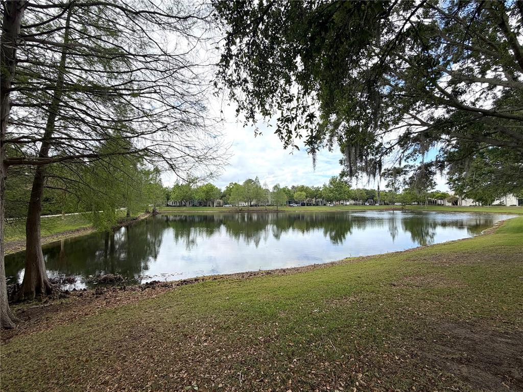 14517 Bluebird Park Road Windermere, FL 34786 - Photo 17 of 18