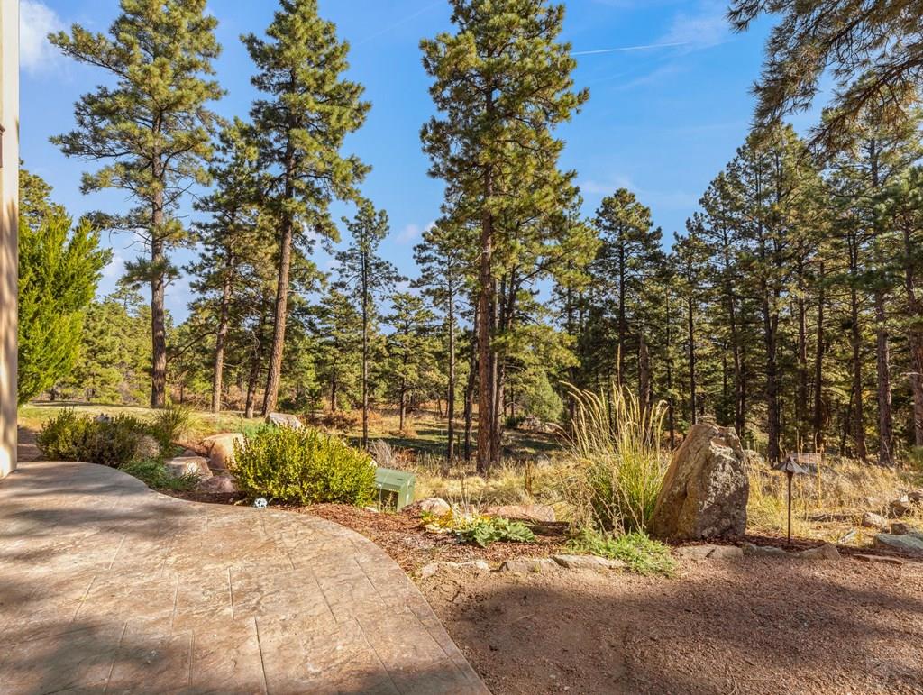 6578 Signal Mountain Road Beulah, CO 81023 - Photo 48 of 65