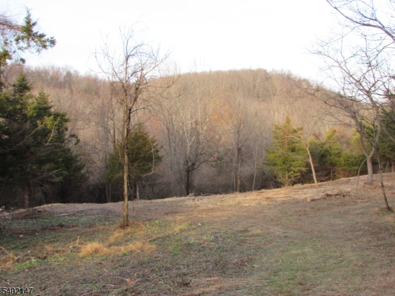 0 Clark Road Sussex, NJ 07461 - Photo 3 of 10 a backyard of a house