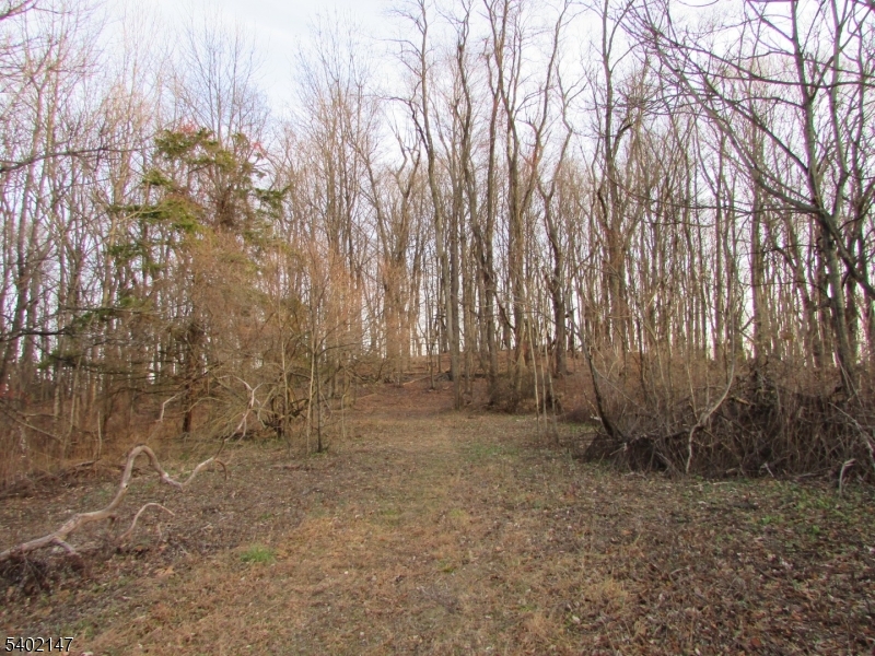 0 Clark Road Sussex, NJ 07461 - Photo 5 of 10 a view of small space with wooden fence