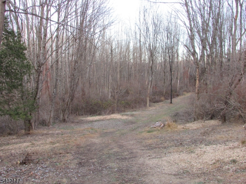 0 Clark Road Sussex, NJ 07461 - Photo 6 of 10 a view of backyard with trees