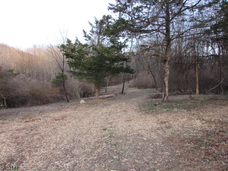 0 Clark Road Sussex, NJ 07461 - Photo 7 of 10 a view of a forest with trees in the background