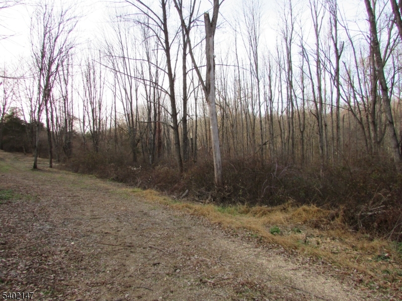 0 Clark Road Sussex, NJ 07461 - Photo 8 of 10 a view of backyard with green space