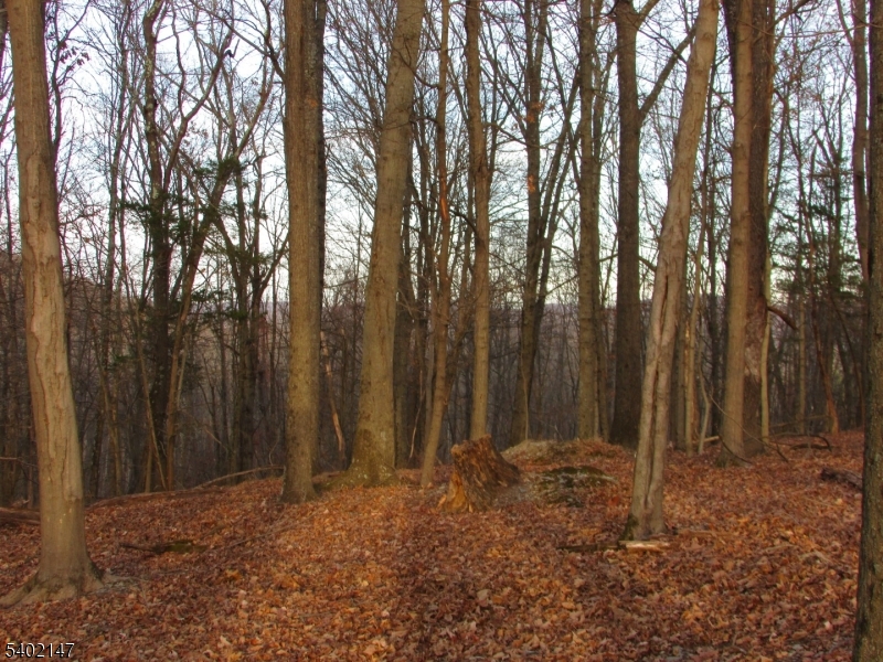 0 Clark Road Sussex, NJ 07461 - Photo 9 of 10 a backyard of a house with lots of green space