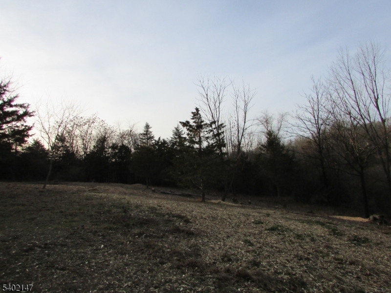 0 Clark Road Sussex, NJ 07461 - Photo 10 of 10 a view of outdoor space and yard
