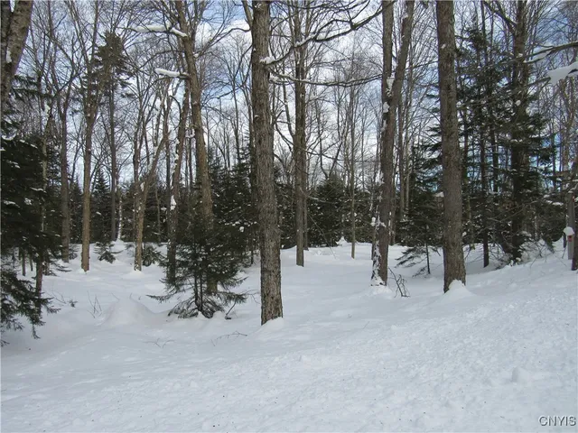 $170,000 | Tamarack Drive, Old Forge, NY 13420