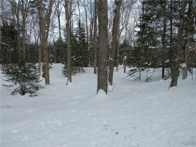 $170,000 | Tamarack Drive, Old Forge, NY 13420