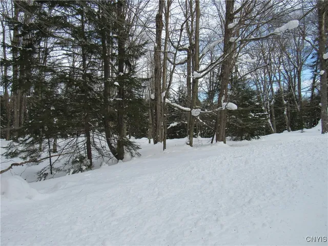 $170,000 | Tamarack Drive, Old Forge, NY 13420