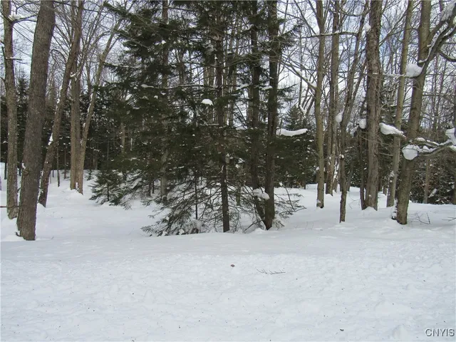 $170,000 | Tamarack Drive, Old Forge, NY 13420