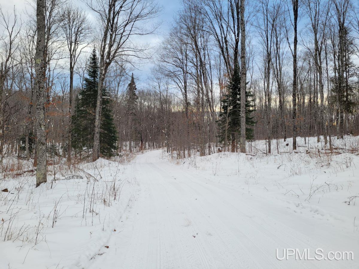 Tbd Tbd Off Wide Waters Road Crystal Falls, MI 49920 - Photo 1 of 3