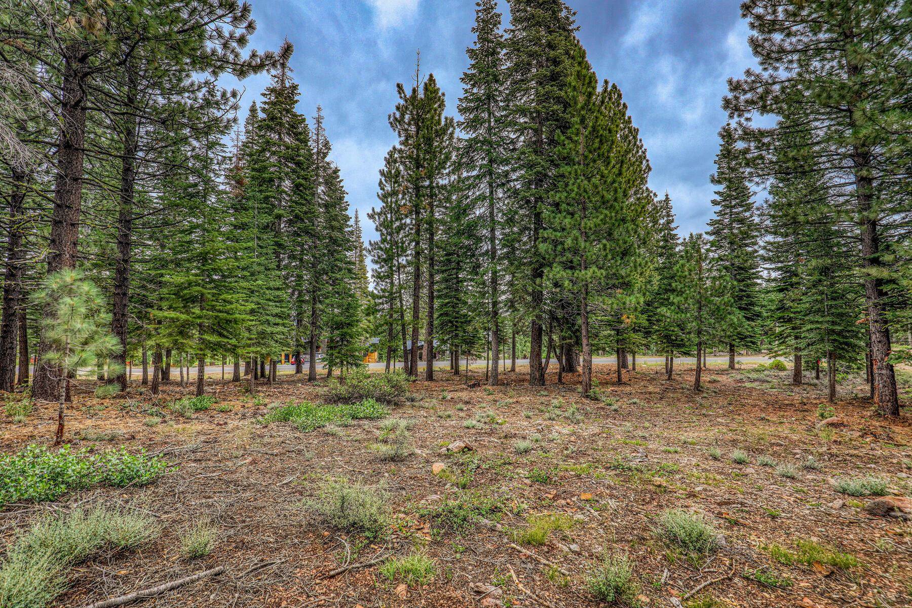 9270 Brae Road Truckee, CA 96161 - Photo 2 of 18 a view of outdoor space with trees all around