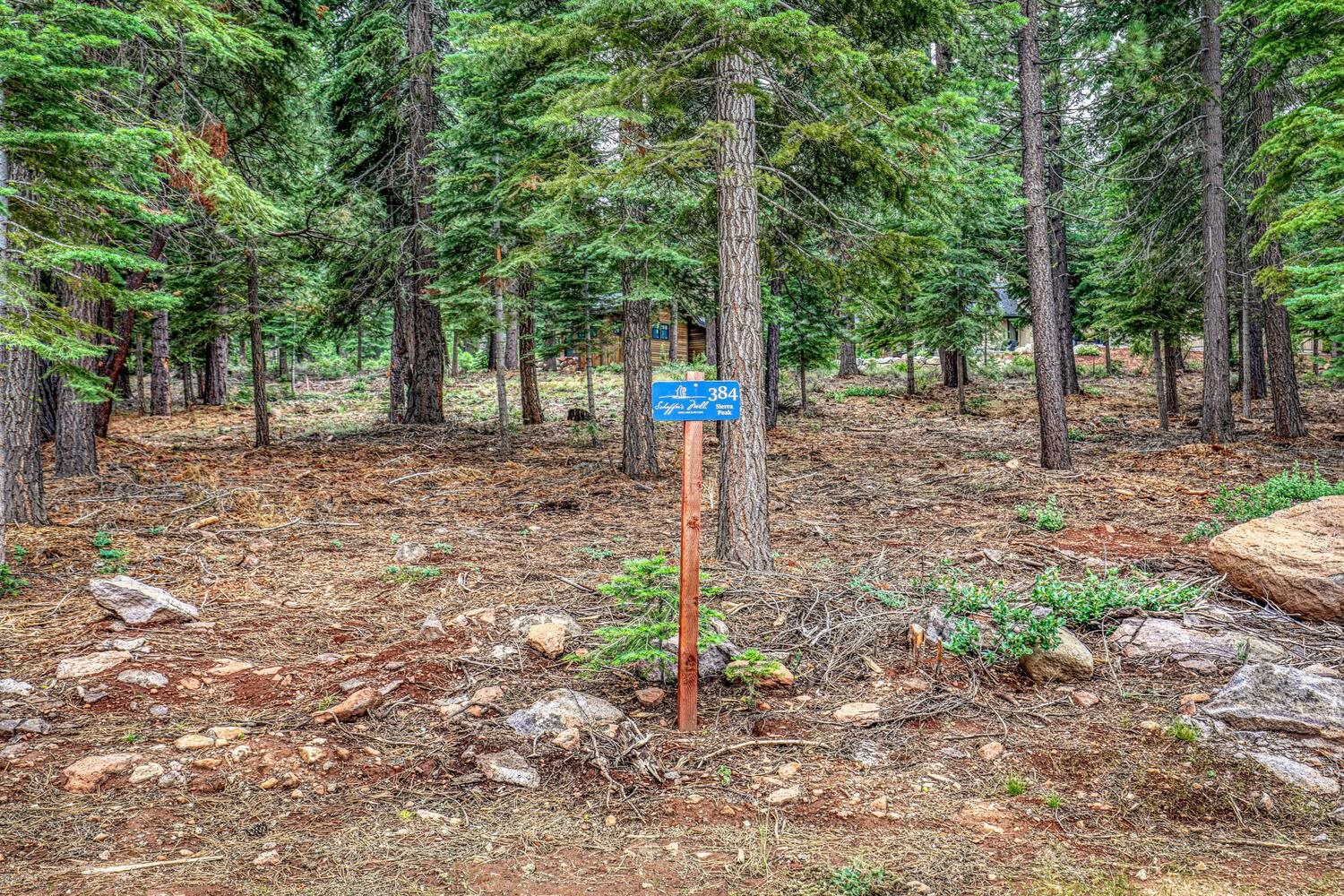 9270 Brae Road Truckee, CA 96161 - Photo 3 of 18 a road view with a tree