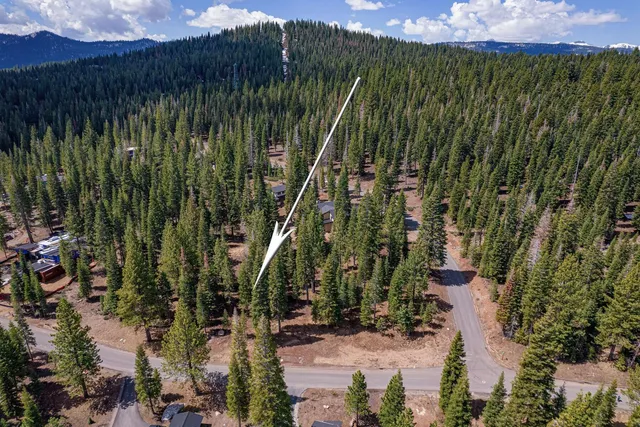 a view of a street with a tree